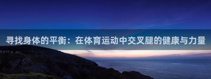 上海哈希娱乐汽车电子有限公司