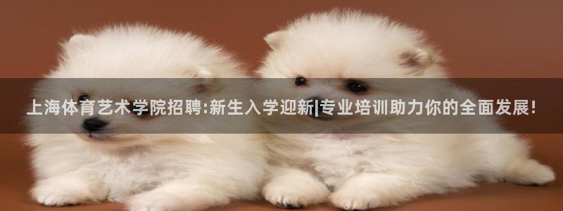 哈希娱乐体育官网入口登录