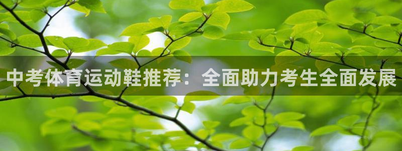 哈希娱乐体育合法嘛