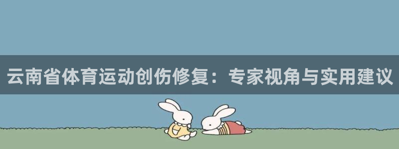 哈希娱乐体育代理申请流程