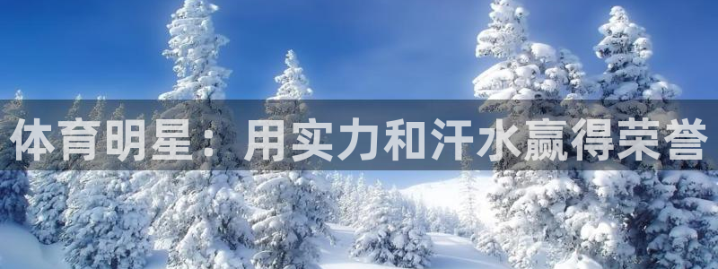 哈希娱乐4平台