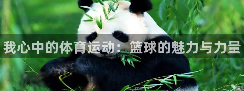 哈希娱乐体育凯捷平台注册