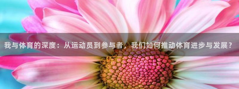 哈希娱乐体育1招商