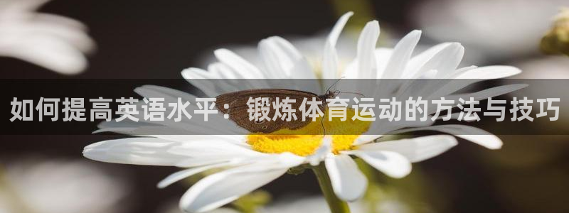 意昂3平台登录注册