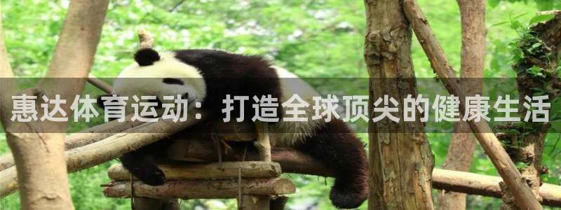 www.哈希娱乐体育.com