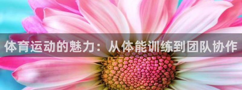 意昂4平台注册