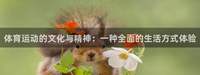哈希娱乐集团股票