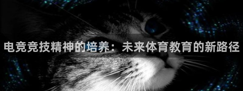 东莞市哈希娱乐电子科技有限公司