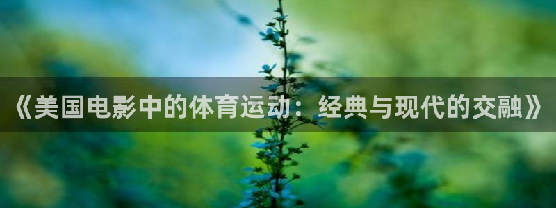 哈希娱乐4代理